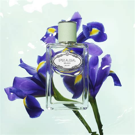 prada iris parfum 50 ml|Prada perfume iris review.